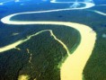 /album/galeria-de-fotos/floresta-amazonica-a8f06-jpg/